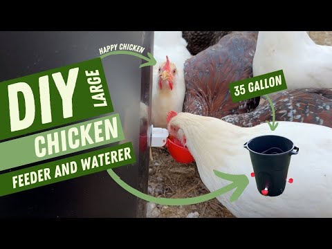 Build Your Own Chicken Feeder and Waterer