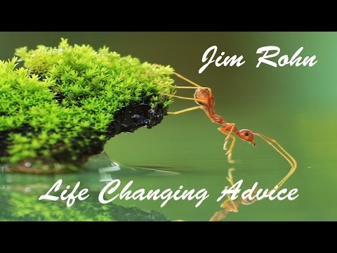 The Ant Philosophy - Jim Rohn