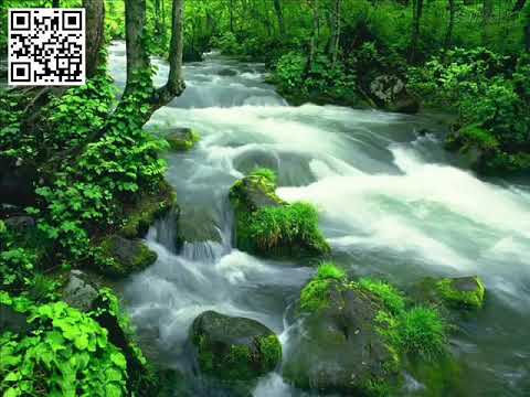 Os Melhores Hinos avulsos   Samuel de Camargo CCB   CD Completo