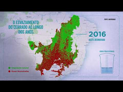 Thumbnail for Desmatamento no Cerrado e falta d'água