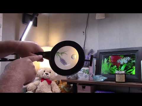 NOEVSBIG 5X &amp; 10X Lighted Magnifying Desk Lamp Review