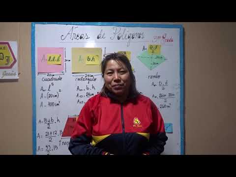 Áreas de polígonos y circulo 3° Grado