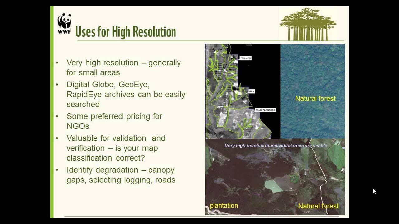 Thumbnail for REDD+ Learning Session 7: Satellite Data for REDD+ MRV