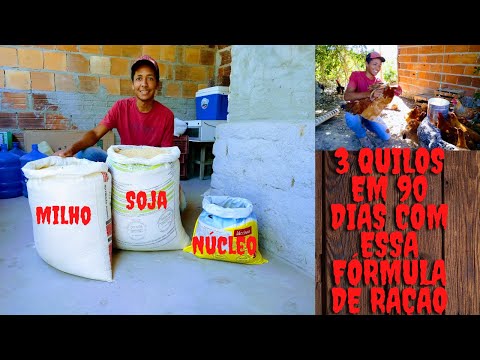 Frangos com 3 quilos usando essa ração/  como fazer ração para frango de corte