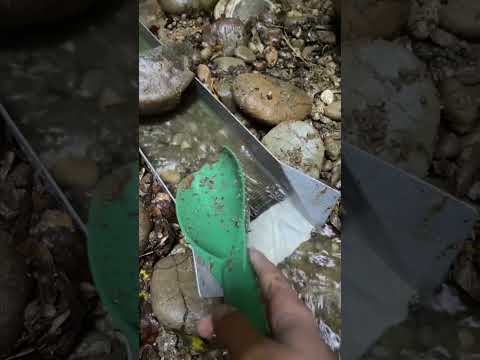 Thumbnail for Using a sluice box to find gold!