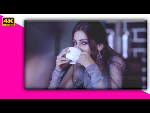 4K Love status || Full Screen status || Miscellaneous Video