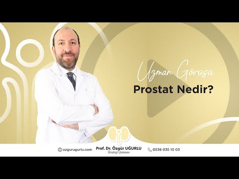 Prostat Nedir ? | Prof. Dr. Özgür Uğurlu