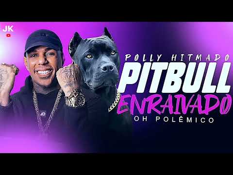 Thumbnail for PITBULL ENRAIVADO - OH POLÊMICO