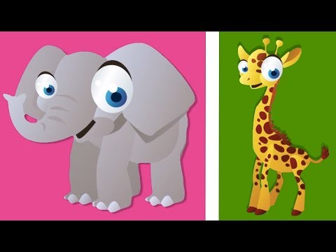 Thumbnail for Orman Hayvanlarının Yavrularını Tanıyalım - Çocuklar İçin Hayvanlar