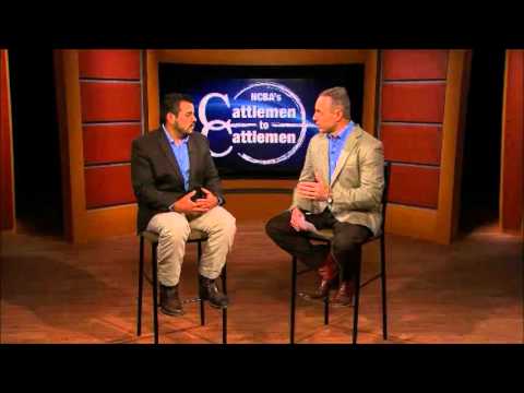 Why BQA Certification is Important For Cattle Producers