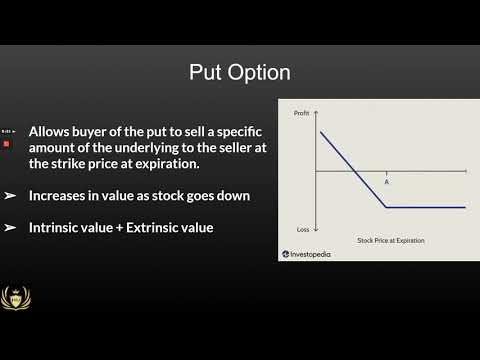 HU Options Basics 1