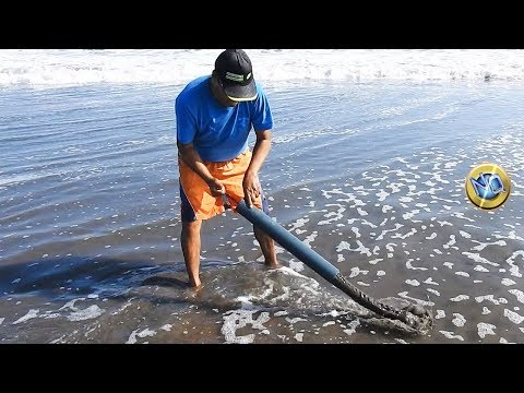 Hombre se saca el Nape mas Grande e irresistible de Pesca【Ghost Shrimp】