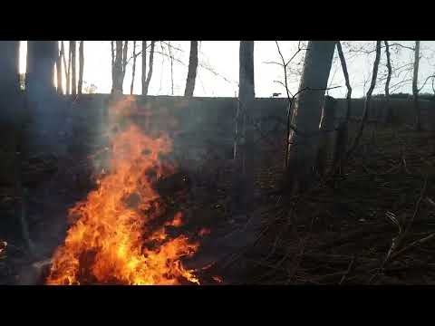 Queers Chant they will STONE me!