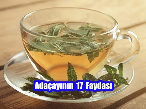 Adaçayının 17 Müthiş Faydası  /  Adaçayının Faydaları