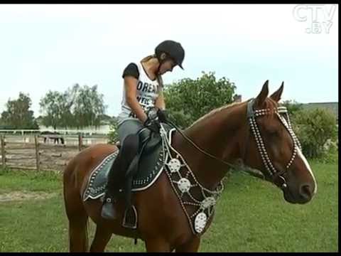 Thumbnail for Специалисты по созданию конской упряжи: особенности профессии шорник