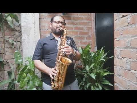 Thumbnail for Lady Laura - Roberto Carlos (saxofón cover)