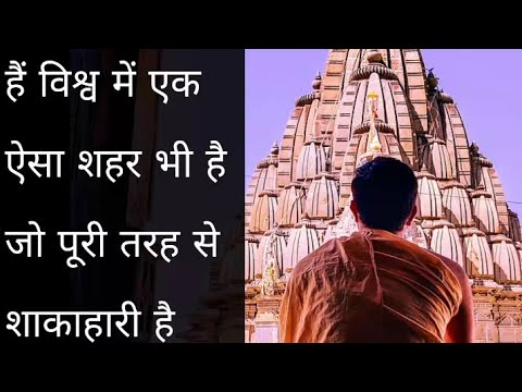 Vegitarian city.  #vegetables #shorts #video #entertainment #bhavnagar #tv #gujrat #story #palitana