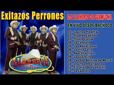 Thumbnail for LOS LLANEROS DE GUAMUCHIL en Vivo desde BACHOCO