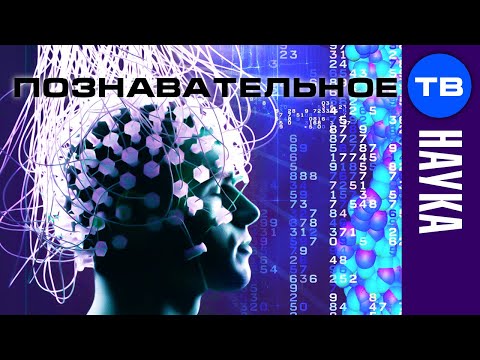 Thumbnail for Сергей Савельев: Управление мозгом человека