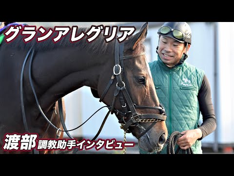【引退発表】グランアレグリア・渡部調教助手インタビュー