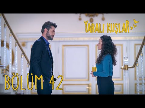 Yaralı Kuşlar 42. Bölüm