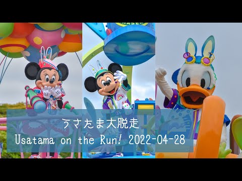 うさたま大脱走 2022/04/28【東京ディズニーランド】【ディズニー・イースター】【スペシャルイベント】