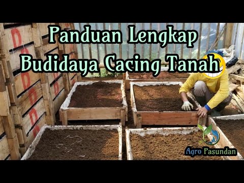 Panduan lengkap Budidaya cacing tanah