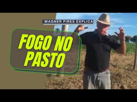 Thumbnail for O QUE FAZER PARA PREVENIR O FOGO NO PASTO?
