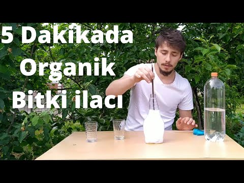 (BİBER BİTKİSİNE UYGULAMAYIN!) Bitkiler İçin Doğal Böcek İlacı Nasıl Yapılır