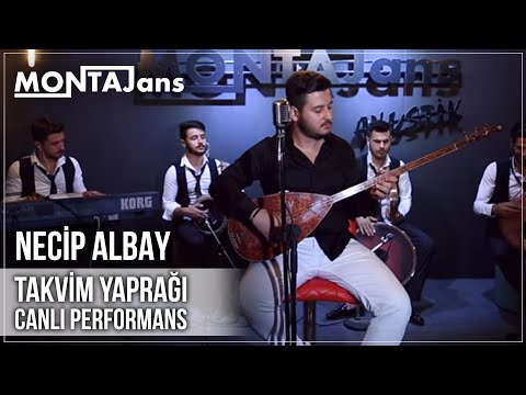 Thumbnail for Necip Albay - Takvim Yaprağı (Canlı Performans)