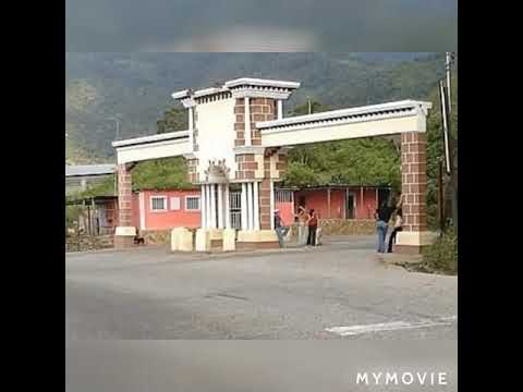 Thumbnail for Si me ven llorando