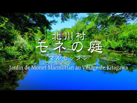 #α7SⅢ#RSC2#シネマティック 【4K】モネの庭