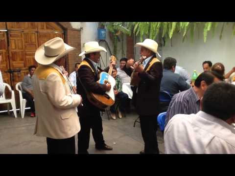 El mono de alambre para Profesores