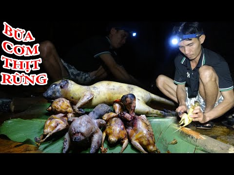 VÀO RỪNG SĂN BẮT, ĐÁNH BẪY, NGỦ RỪNG, CUỘC SỐNG HOANG DÃ - Rừng Già 4 Tiến | T3