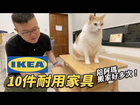 【IKEA十件耐用家具!陪阿瑪搬家好多次!】志銘與狸貓
