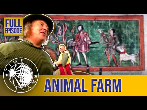Animal Farm (Full Episode) | S12 EP13 | Time Team (Hanslope)