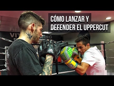 Thumbnail for Como LANZAR y DEFENDER el UPPERCUT (incluye ejercicios)
