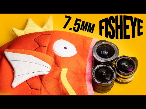 Thumbnail for APSC Fisheye Battle: TTArtisan 7.5 f/2 vs 7Artisans 7.5 f/2.8 II vs Pergear 7.5 f/2.8