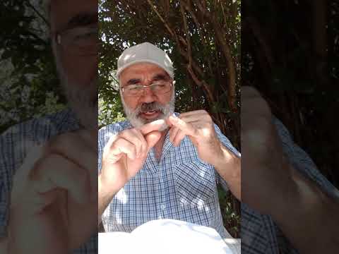 Adem ilk insanmi dir? 2