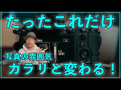 【カメラ初心者】たったこれだけで写真の雰囲気がガラリと変わる機能