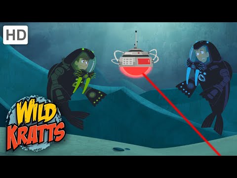 Thumbnail for Wild Kratts | Mystery of the Weird Looking Walrus | Full Episode | Season 1