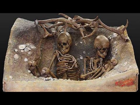 Thumbnail for Why are we the only Humans that survived?