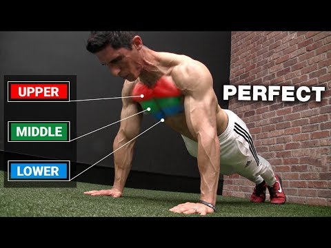 Thumbnail for The Perfect PUSH-UP Workout (3 LEVELS)