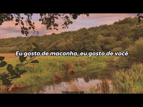 Me gusta tú-Manu Chao (tradução)