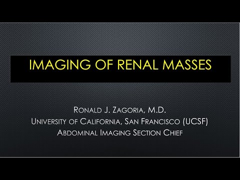 Thumbnail for 3.22.2021 Urology COViD Didactics - Imaging of Renal Masses