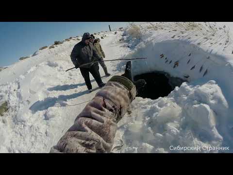 Елец в микроречке. Пауки, подъёмники.  Поймали немножко.