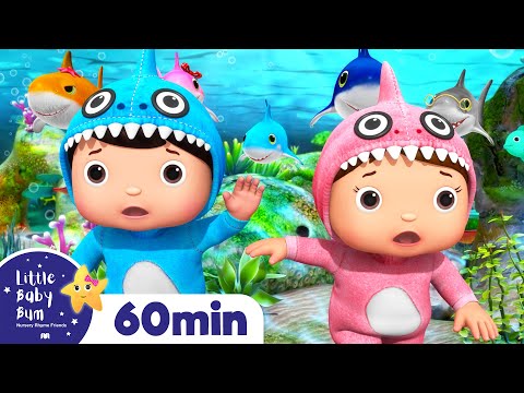 Baby Shark Dance | +More Nursery Rhymes &amp; Kids Songs  | ABCs and 123s | Little Baby Bum