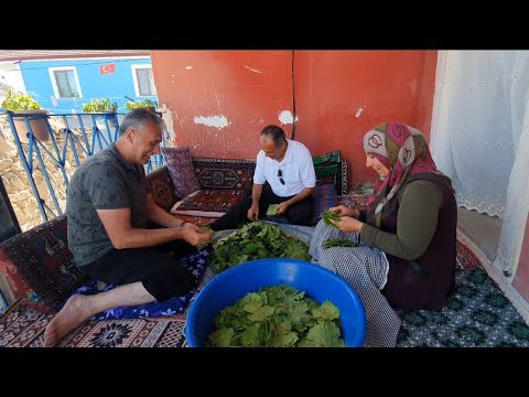 Thumbnail for YİNE YAPRAK YELAŞI✅️EVDE SALAMURA NASIL YAPILIR✅️BAĞ YAPRAĞI #salamurayaprak