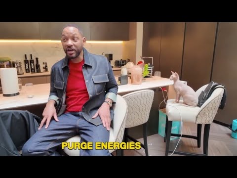 Will Smith Meets KSI's Cat