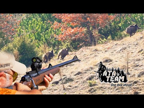 Thumbnail for ATA TEAM Wildboar Hunting Domuz Avi